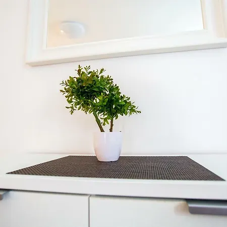 Apartment Nives In The City Center - Free Parking Split Kültér fotó